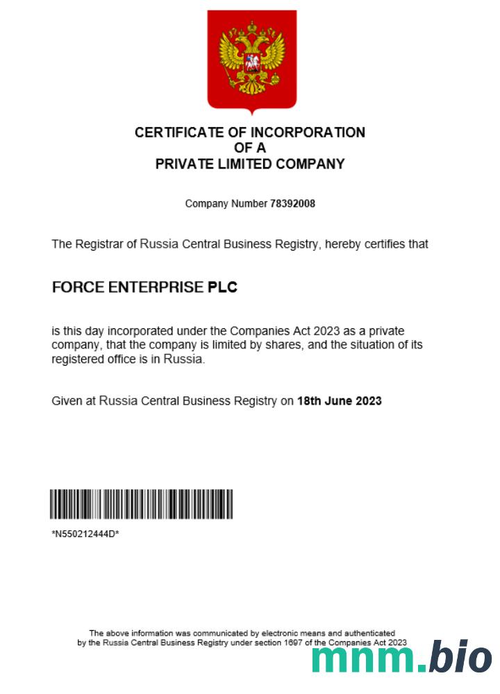 Russia business registration vcertyfikat Word i szablon PDF